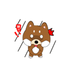 柴犬の毎一日（個別スタンプ：14）