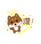 柴犬の毎一日（個別スタンプ：15）