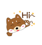 柴犬の毎一日（個別スタンプ：16）