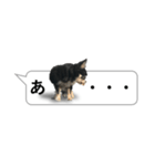 犬の吹き出しスタンプ（個別スタンプ：1）