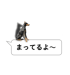 犬の吹き出しスタンプ（個別スタンプ：8）