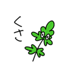 パクチゃん（個別スタンプ：5）