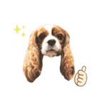 Cavalier Rocca.（個別スタンプ：15）