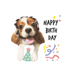Cavalier Rocca.（個別スタンプ：39）