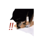 内弁慶ナナ様_02（個別スタンプ：4）