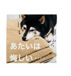 内弁慶ナナ様_02（個別スタンプ：6）