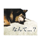 内弁慶ナナ様_02（個別スタンプ：7）