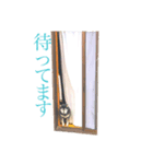 内弁慶ナナ様_02（個別スタンプ：8）