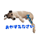 Nanaの毎日スタンプ（個別スタンプ：4）