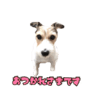 Nanaの毎日スタンプ（個別スタンプ：5）