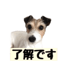 Nanaの毎日スタンプ（個別スタンプ：6）