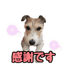 Nanaの毎日スタンプ（個別スタンプ：8）