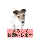 Nanaの毎日スタンプ（個別スタンプ：9）