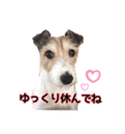 Nanaの毎日スタンプ（個別スタンプ：12）