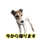 Nanaの毎日スタンプ（個別スタンプ：13）
