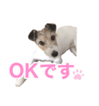 Nanaの毎日スタンプ（個別スタンプ：14）