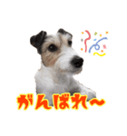 Nanaの毎日スタンプ（個別スタンプ：16）