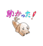 感謝する犬（個別スタンプ：9）