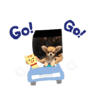 Taylor Design（個別スタンプ：13）