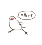 手に白文鳥（個別スタンプ：1）