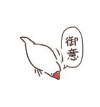 手に白文鳥（個別スタンプ：6）