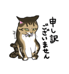 礼儀正しいマックちゃん（個別スタンプ：6）