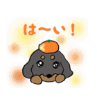 ミニチュアダックスの親子 冬編（個別スタンプ：6）