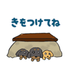 ミニチュアダックスの親子 冬編（個別スタンプ：13）