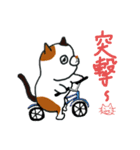 こんぺいとうねこ②（個別スタンプ：14）