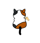 こんぺいとうねこ②（個別スタンプ：26）