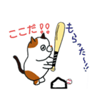 こんぺいとうねこ②（個別スタンプ：33）