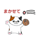 こんぺいとうねこ②（個別スタンプ：37）