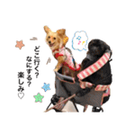 KONATSU♥︎︎（個別スタンプ：6）