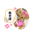 KONATSU♥︎︎（個別スタンプ：10）