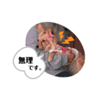 KONATSU♥︎︎（個別スタンプ：18）