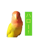 ビビ、チーズ、ウィキ（個別スタンプ：3）