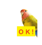 ビビ、チーズ、ウィキ（個別スタンプ：8）