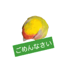 ビビ、チーズ、ウィキ（個別スタンプ：19）