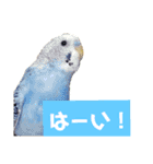 ビビ、チーズ、ウィキ（個別スタンプ：22）