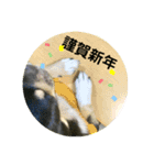 ひのまる スタンプ  5（個別スタンプ：11）