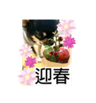ひのまる スタンプ  5（個別スタンプ：13）