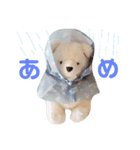 マルモくんたち（個別スタンプ：1）