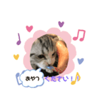 蘭丸まる4（個別スタンプ：6）