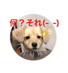 クウタのスタンプ（個別スタンプ：8）