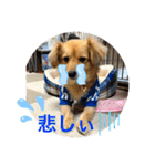 クウタのスタンプ（個別スタンプ：10）