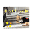 クウタのスタンプ（個別スタンプ：15）