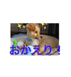 クウタのスタンプ（個別スタンプ：18）