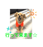 クウタのスタンプ（個別スタンプ：20）