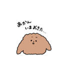 こうみえてトイプードルスタンプ（個別スタンプ：10）
