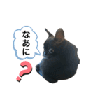 フレンチブルドッグ なると（個別スタンプ：27）